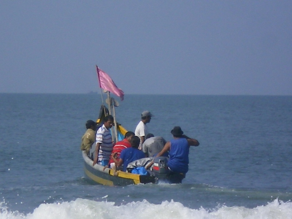ГОА 2010 264.jpg